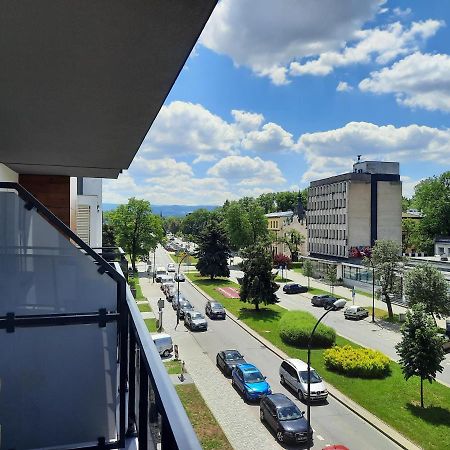 Apartament Przy Plantach Nowy Sącz Dış mekan fotoğraf