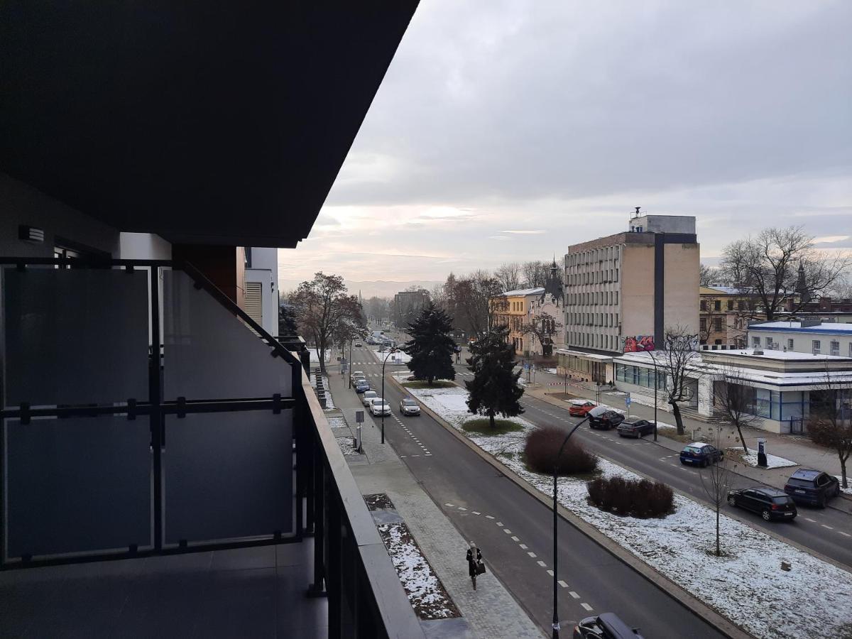 Apartament Przy Plantach Nowy Sącz Dış mekan fotoğraf